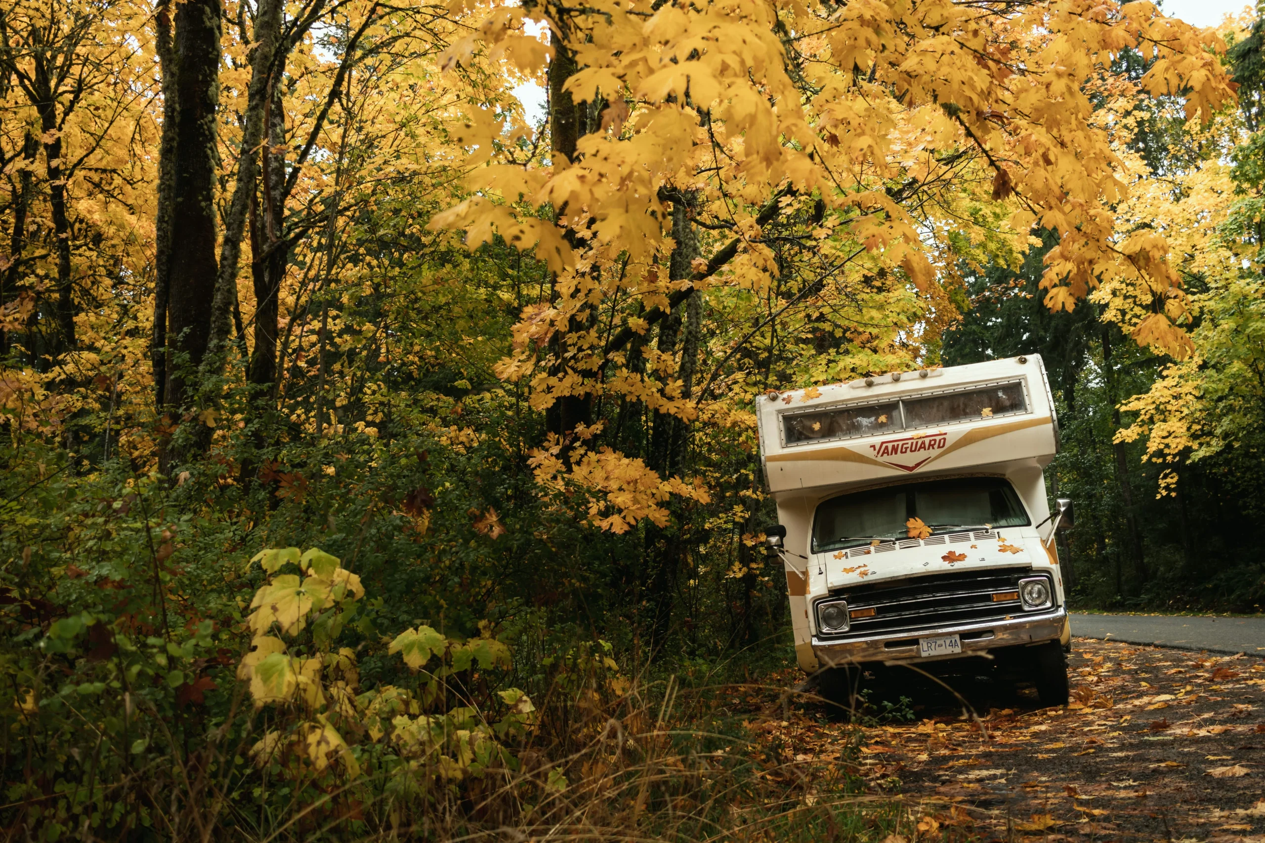 broken-trucks